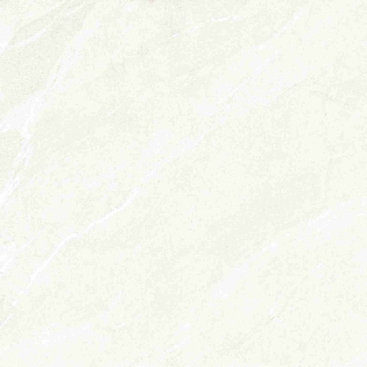 Dhara White Matte 48 x 48